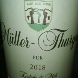 Müller Thurgau Pur - Enderle & Moll - Florian Moll & Max Lecat 