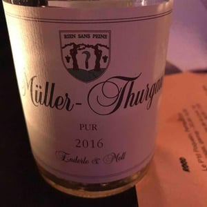 Müller Thurgau Pur - Enderle & Moll - florian-moll-max-lecat