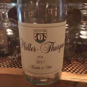 Müller Thurgau Pur - Enderle & Moll - Florian Moll & Max Lecat 