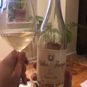 Müller Thurgau Pur 2019