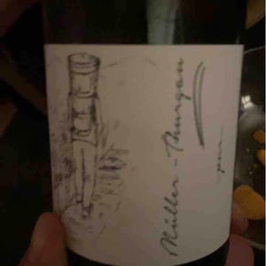 Brand Bros - Weingut Brand - Daniel & Jonas Brand - Müller Thurgau