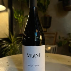 Muni - Daniele Puccini - Daniele Puccini 