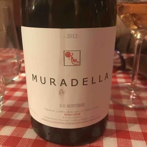 Muradella Tinto - Quinta da Muradella - José Luis Mateo Garcia 