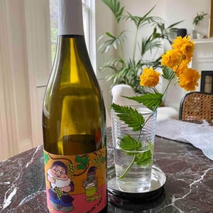 Domaine de l'Octavin - Alice Bouvot - Mus' Cat