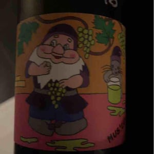 Domaine de l'Octavin - Alice Bouvot - Mus' Cat