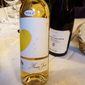 Musar Jeune Blanc - Musar - Ronald Hochar 