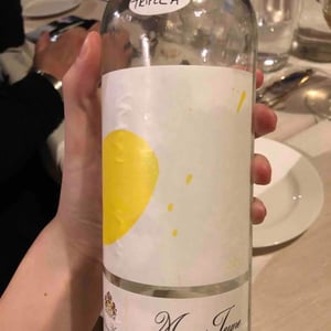 Musar Jeune Blanc - Musar - ronald-hochar