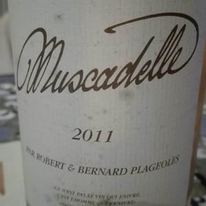 Muscadelle - Domaine Plageoles - Bernard, Florent & Romain Plageoles 