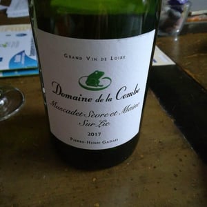 Muscadet - Domaine De La Combe - pierre-henri-gardais
