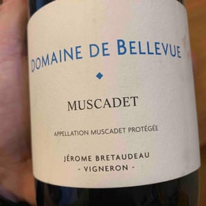 Muscadet - Domaine de Bellevue - Jérôme Bretaudeau 