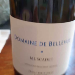 Domaine de Bellevue - Jérôme Bretaudeau - Muscadet
