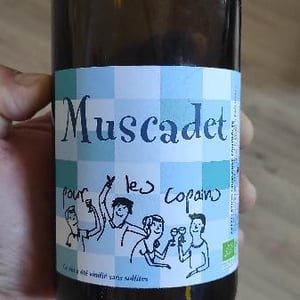 Muscadet Pour Les Copains - Domaine de l'Épinay - Earl Paquereau - cyrille-et-sylvain-paquereau -2020