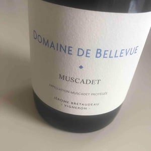 Muscadet 2018