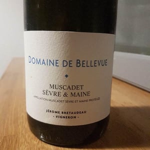 Domaine de Bellevue - Jérôme Bretaudeau - Muscadet