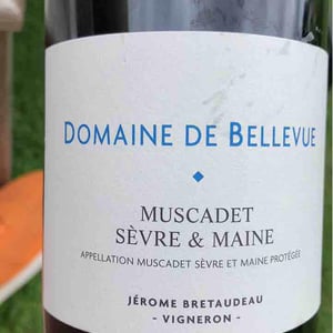 Muscadet - Domaine de Bellevue - jerome-bretaudeau