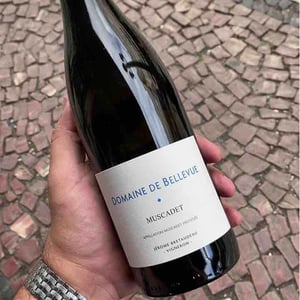 Muscadet - Domaine de Bellevue - jerome-bretaudeau