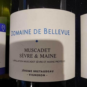 Muscadet - Domaine de Bellevue - Jérôme Bretaudeau 