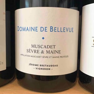 Muscadet - Domaine de Bellevue - jerome-bretaudeau