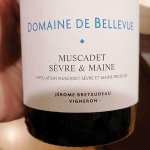 Muscadet - Domaine de Bellevue - jerome-bretaudeau