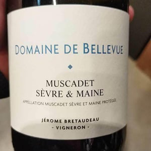 Muscadet - Domaine de Bellevue - jerome-bretaudeau