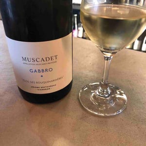 Muscadet - Domaine de Bellevue - Jérôme Bretaudeau 