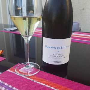 Muscadet Sèvre Et Maine - Domaine de Bellevue - Jérôme Bretaudeau 