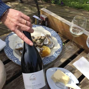 Muscadet Sèvre et Maine - Domaine Julien Braud - julien-braud