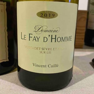 Muscadet Sevre et Maine Sir Lie - Le Fay d'Homme - vincent-caille -2019