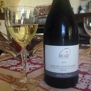 Muscadet Sèvre Et Maine Sur Lie - Domaine de Bellevue - Jérôme Bretaudeau 