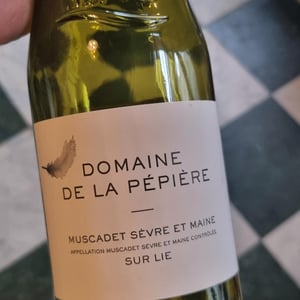 Muscadet Sèvre et Maine sur Lie - Domaine de la Pépière - marc-ollivier-remi-branger-gwenaelle-croix