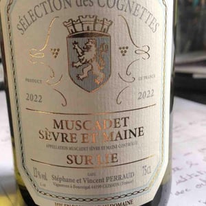 Muscadet Sèvre Et Maine Sur Lie - Domaine Des Cognettes - stephane-vincent-perraud