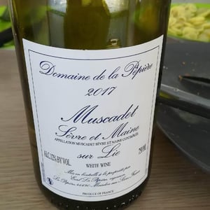 Muscadet Sèvre et Maine sur Lie - Domaine de la Pépière - marc-ollivier-remi-branger-gwenaelle-croix