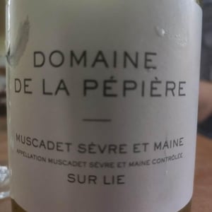 Muscadet Sèvre et Maine sur Lie - Domaine de la Pépière - marc-ollivier-remi-branger-gwenaelle-croix