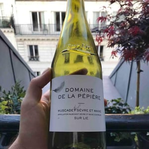 Muscadet Sèvre et Maine sur Lie - Domaine de la Pépière - marc-ollivier-remi-branger-gwenaelle-croix