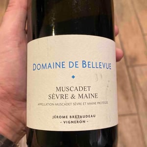 Muscadet Sèvre Et Maine - Domaine de Bellevue - Jérôme Bretaudeau 