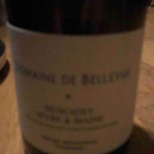 Muscadet Sèvre Et Maine - Domaine de Bellevue - jerome-bretaudeau