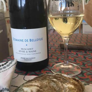 Domaine de Bellevue - Jérôme Bretaudeau - Muscadet Sèvre Et Maine