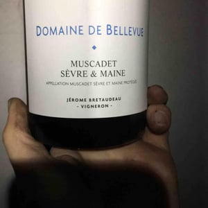 Muscadet Sèvre Et Maine - Domaine de Bellevue - Jérôme Bretaudeau 