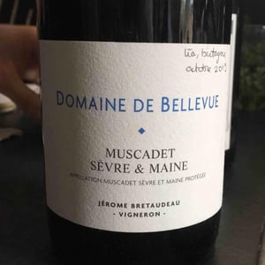 Muscadet Sèvre Et Maine - Domaine de Bellevue - jerome-bretaudeau