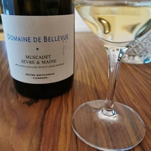 Muscadet Sèvre Et Maine - Domaine de Bellevue - jerome-bretaudeau