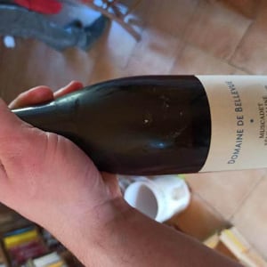 Muscadet Sèvre Et Maine - Domaine de Bellevue - Jérôme Bretaudeau 
