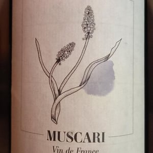 Muscari - Domaine des Myosotis - Justine Rivet et Romain Bourreau 