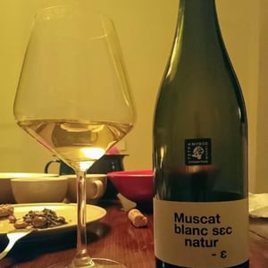 Muscat Blanc Sec Natur 2017