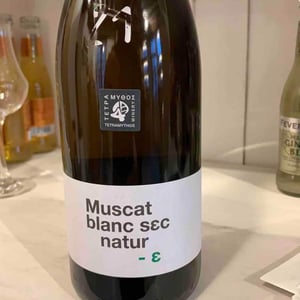 Muscat Blanc Sec Natur - Tetramythos Winery - Τετράμυθος - panos-papayiannopoulos-aristos-spanos-eustatius-spanos
