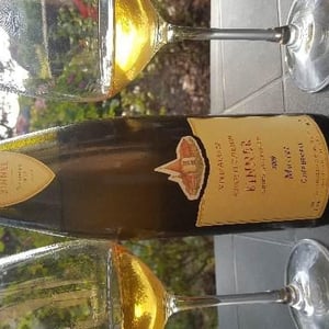Muscat "Cuvée Béatrice" - Domaine Christian Binner - christian-binner-et-son-equipe