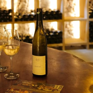 Muscat - Lucas & André Rieffel - lucas-rieffel