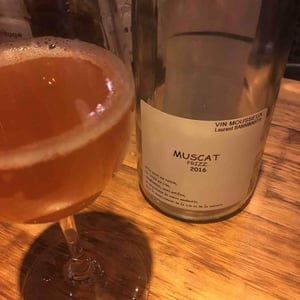 Muscat Frizz... 16
