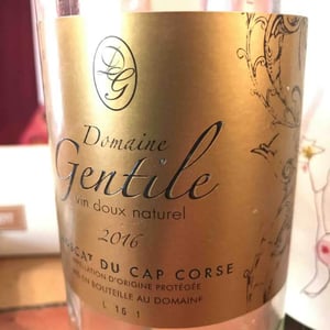Muscat Du Cap Corse - Domaine Gentile - jean-paul-gentile