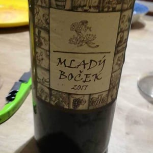 Medovy Muškátek - Richard Stavek - richard-stavek