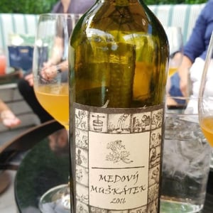 Richard Stavek - Richard Stavek - Medovy Muškátek